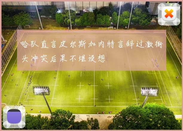 哈队直言皮尔斯加内特言辞过激街头冲突后果不堪设想